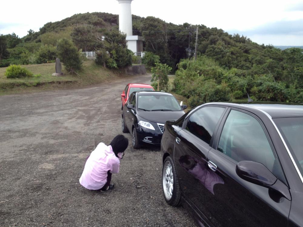 IMG_2098 (1024x768).jpg